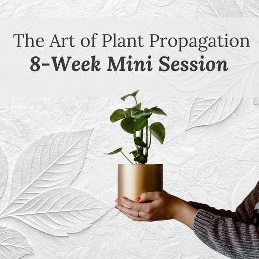 The Art of Plat Propagation - 8 Week Masterclass