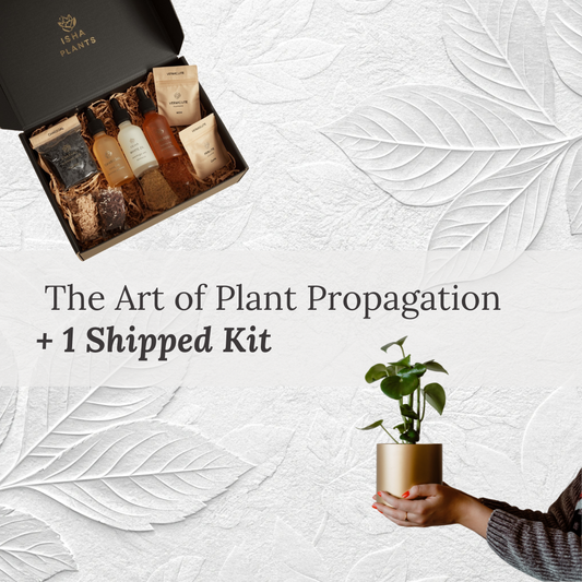 The Art of Plat Propagation - 8 Week Masterclass + 1 Shipped Kit